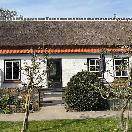 디쇼크 Hof Aan Zee 빌라 외부 사진