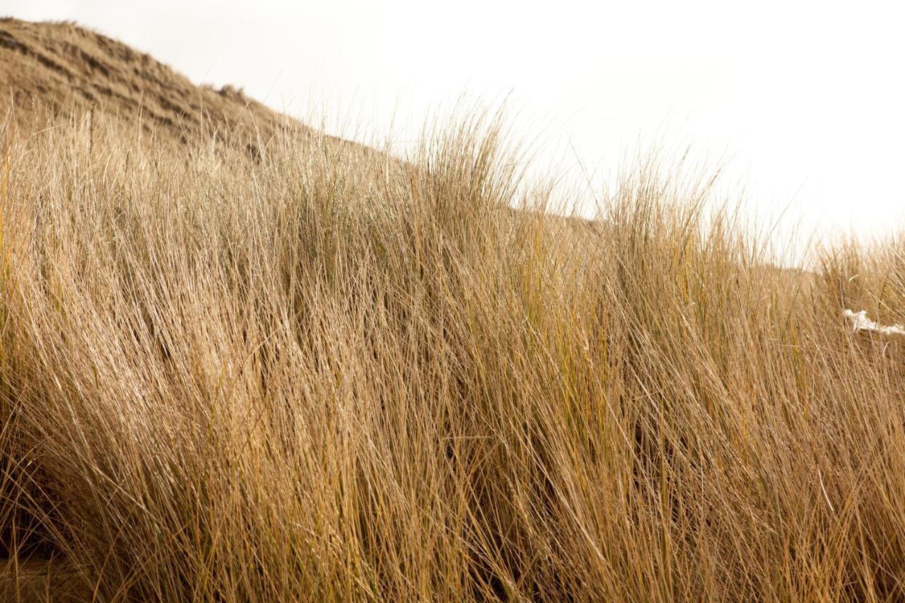디쇼크 Hof Aan Zee 빌라 외부 사진