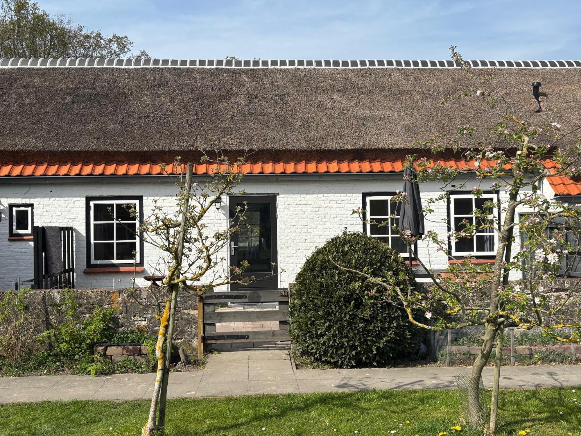 디쇼크 Hof Aan Zee 빌라 외부 사진