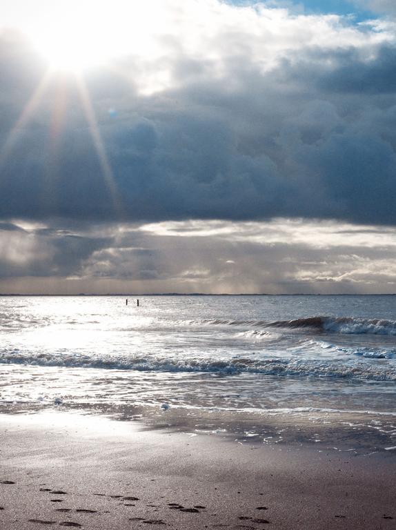 디쇼크 Hof Aan Zee 빌라 외부 사진